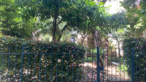 Ajaccio (Corsica) 20