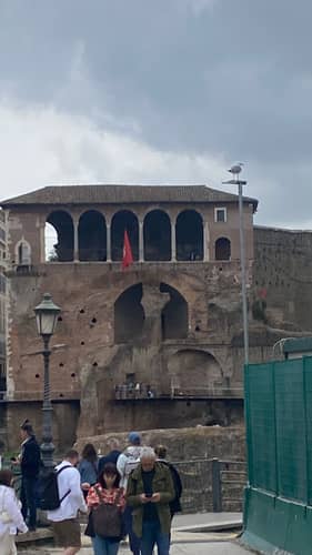 Rome 81