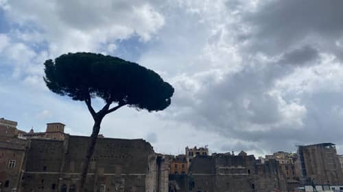 Rome 117