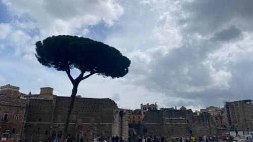 Rome 118
