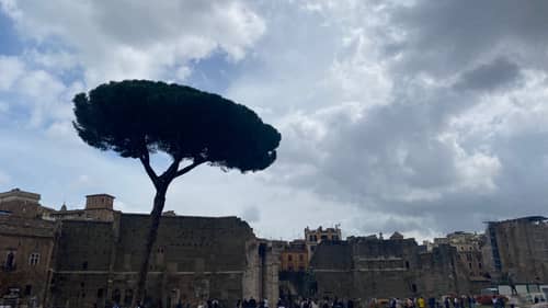 Rome 119