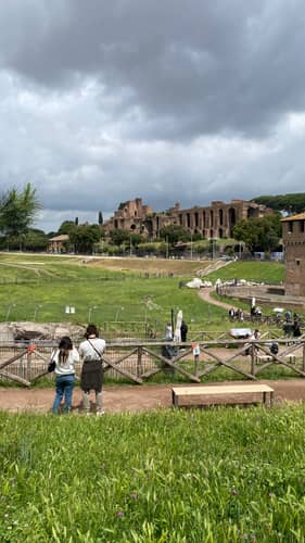 Rome 255
