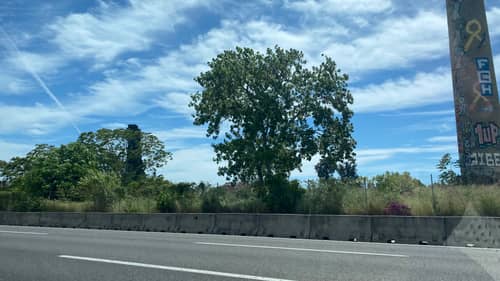Barcelona 8